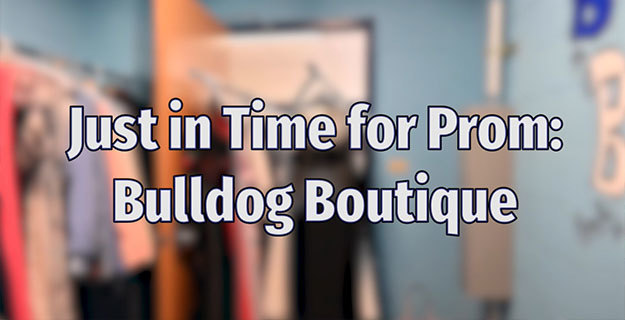 Bulldog Boutique Graphic