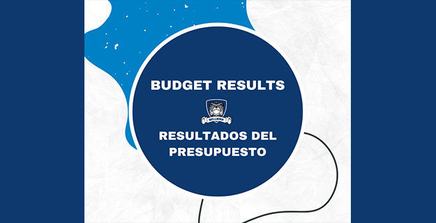 Budget Vote and Election Results Graphic
