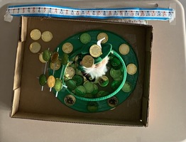 Leprechaun caught on camera at William E. DeLuca ES